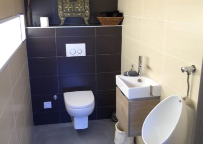 Toilettes, lavabo et urinoir Maison neuve Manu Casier Thonon
